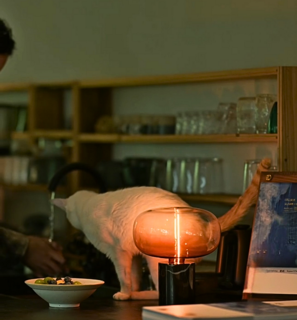 SAVOR THE LIGHT｜酌光